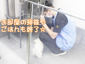 ２年生、子犬のお世話☆